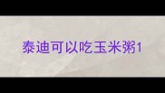 泰迪可以吃玉米粥