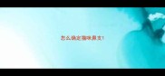 怎么确定猫咪鼻支