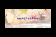 狗狗只吃狗粮营养够吗
