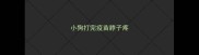 小狗打完疫苗脖子疼