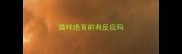 猫咪绝育前有反应吗