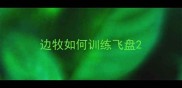 边牧如何训练飞盘