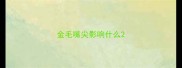 金毛嘴尖影响什么