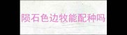 陨石色边牧能配种吗