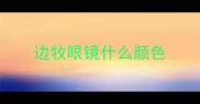 边牧眼镜什么颜色