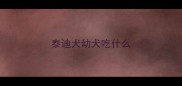 泰迪犬幼犬吃什么
