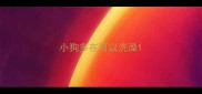 小狗多在可以洗澡