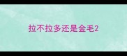 拉不拉多还是金毛