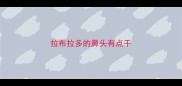 拉布拉多的鼻头有点干
