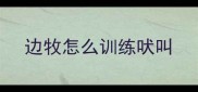 边牧怎么训练吠叫