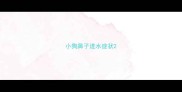 小狗鼻子进水症状