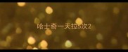 哈士奇一天拉5次