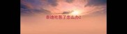 泰迪吃葱了怎么办
