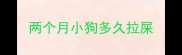 两个月小狗多久拉屎