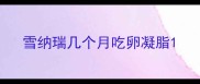 雪纳瑞几个月吃卵凝脂