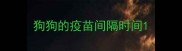 狗狗的疫苗间隔时间