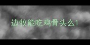边牧能吃鸡骨头么