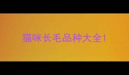 猫咪长毛品种大全