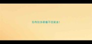 拉布拉多牵着不往前走