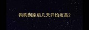 狗狗到家后几天开始疫苗