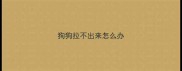 狗狗拉不出来怎么办