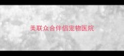 美联众合伴侣宠物医院