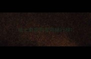 哈士奇狗狗智商排行榜