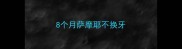 8个月萨摩耶不换牙