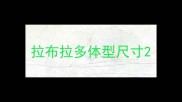 拉布拉多体型尺寸