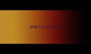 萨摩几个月大换毛