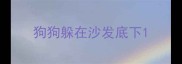 狗狗躲在沙发底下