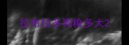拉布拉多狗粮多大