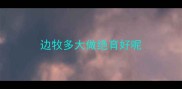 边牧多大做绝育好呢