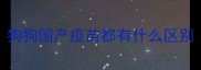 狗狗国产疫苗都有什么区别