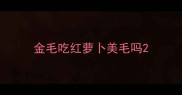 金毛吃红萝卜美毛吗