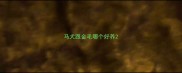 马犬跟金毛哪个好养
