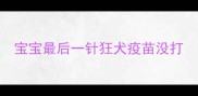 宝宝最后一针狂犬疫苗没打