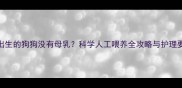 刚出生的狗狗没有母乳科学人工喂养全攻略与护理要点