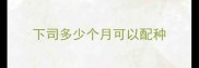 下司多少个月可以配种