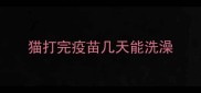 猫打完疫苗几天能洗澡