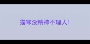 猫咪没精神不理人