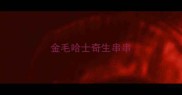 金毛哈士奇生串串