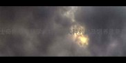 哈士奇怀孕的科学与其他犬种对比及饲养注意事项