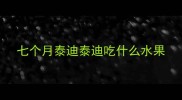 七个月泰迪泰迪吃什么水果