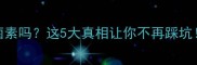 边牧可以打伊维菌素吗这5大真相让你不再踩坑附安全用药指南
