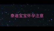泰迪宝宝怀孕注意