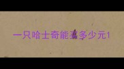 一只哈士奇能买多少元