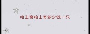 哈士奇哈士奇多少钱一只