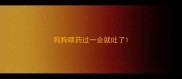 狗狗喂药过一会就吐了