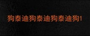 狗泰迪狗泰迪狗泰迪狗